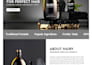 do shopify bug fix, shopify custom coding,shopify website